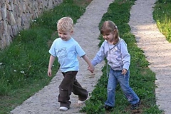 rukice