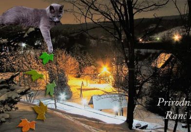 Top 10 destinacija na Fruškoj gori