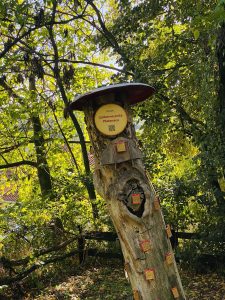 Fruška gora muzej ljubavi