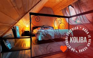 Brvnare Platan odmor u prirodi