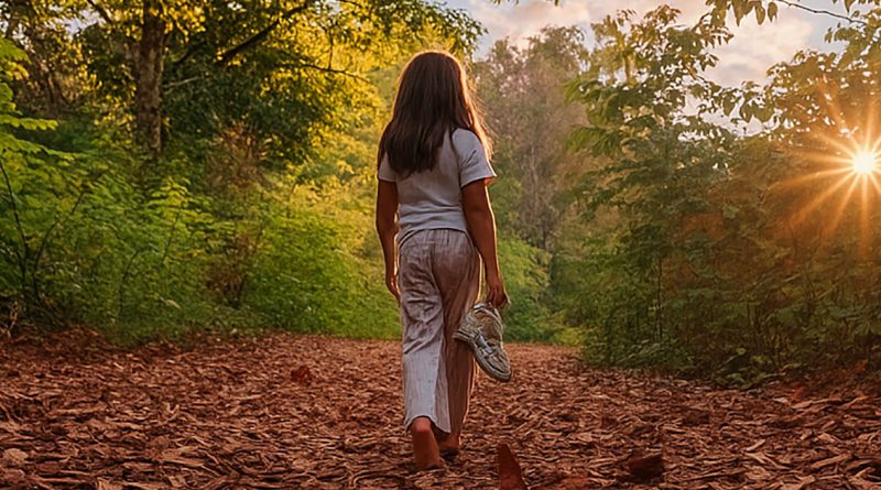 Fruška gora smeštaj – Wellness je priroda – Cene