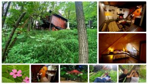Fruska-gora-smestaj-cenovnik