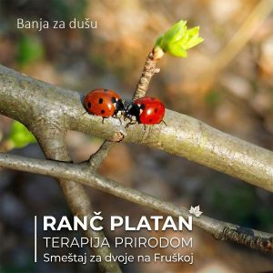 Banja za dušu u šumi za dvoje Ranč Platan
