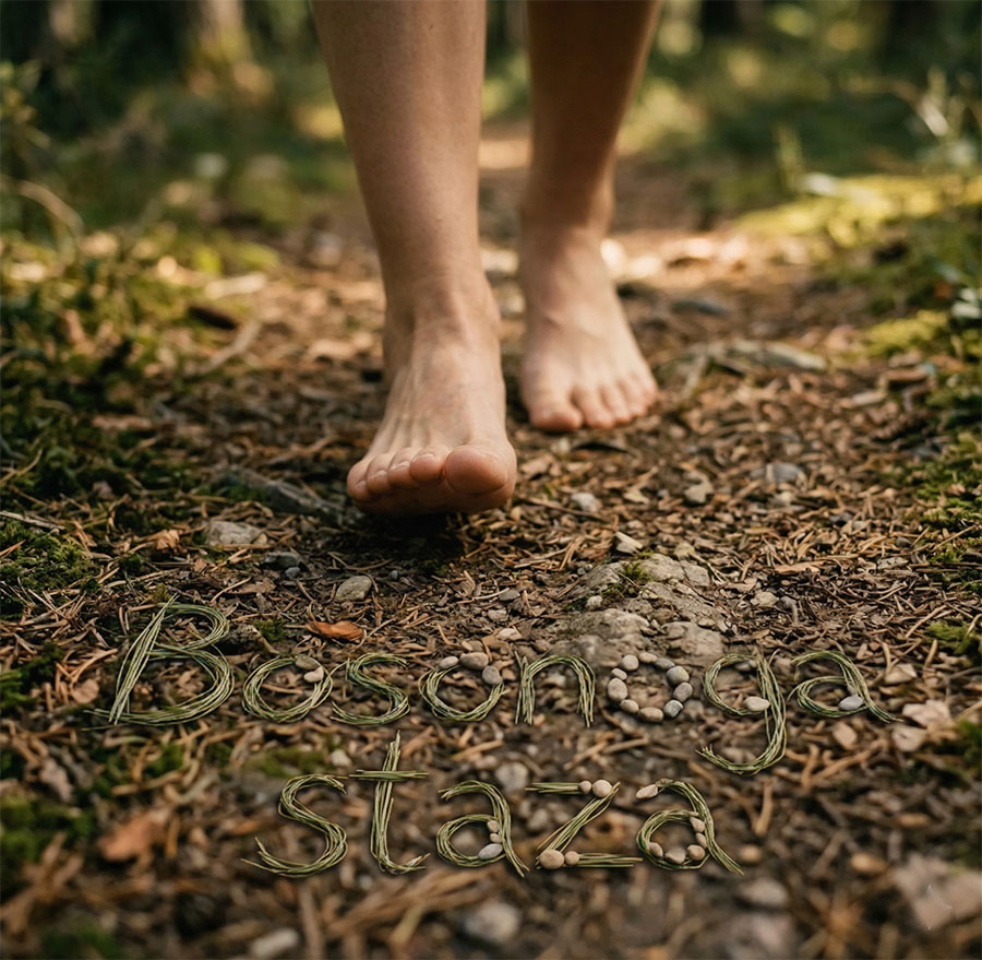 smeštaj za dvoje bosonoga-staza-ranč-platan-fruška-gora