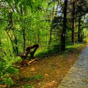 klupa zaljubljeni u frušku goru
