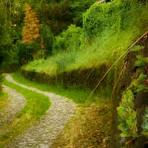fruška gora i mikro klima za smeštaj