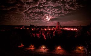 Brvnare od Milice Vrdnik Fruška Gora