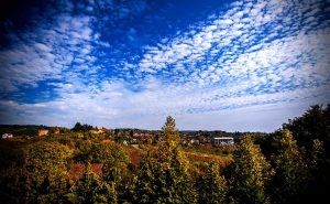Brvnare od Milice Vrdnik Fruška Gora