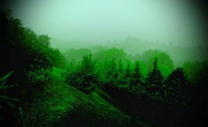 Brvnare od Milice Vrdnik Fruška Gora