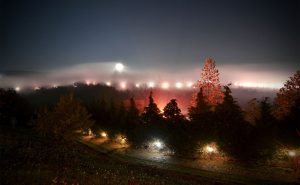 Brvnare od Milice Vrdnik Fruška Gora