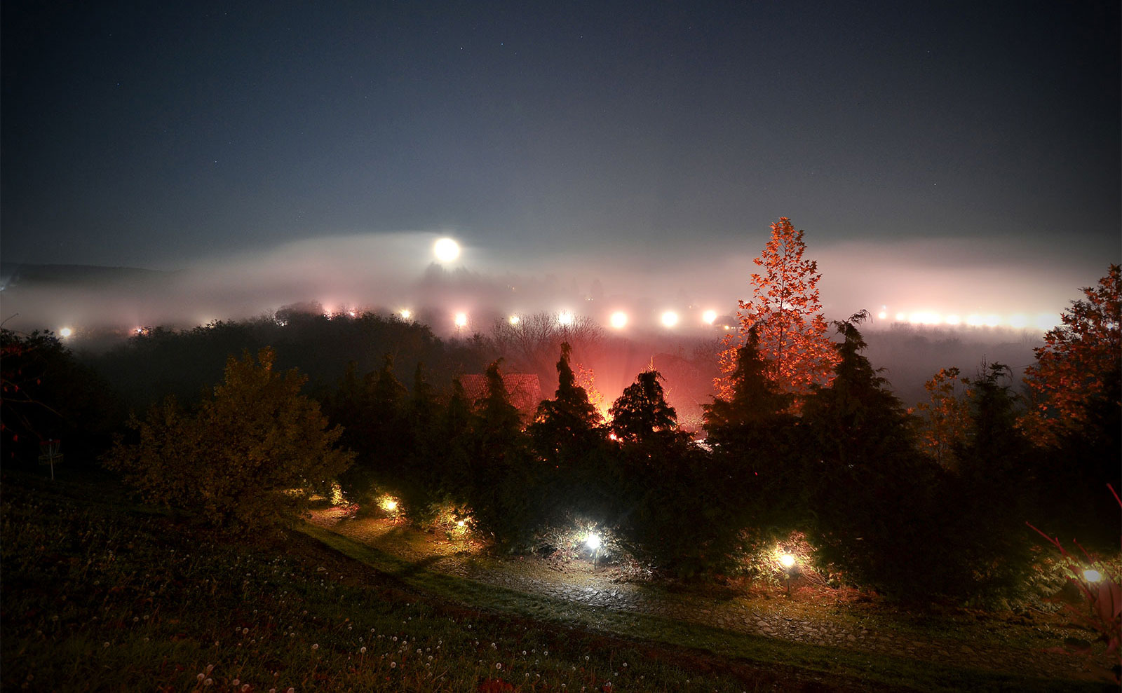 Ranl Platan Vrdnik Fruška Gora