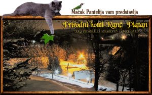 Brvnare od Milice Vrdnik Fruška Gora