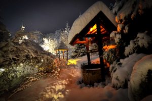 Brvnare od Milice Vrdnik Fruška Gora