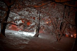 Brvnare od Milice Vrdnik Fruška Gora