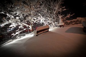 Brvnare od Milice Vrdnik Fruška Gora