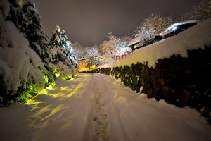 Brvnare od Milice Vrdnik Fruška Gora
