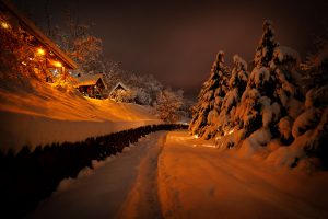 Brvnare od Milice Vrdnik Fruška Gora