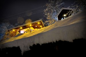 Brvnare od Milice Vrdnik Fruška Gora