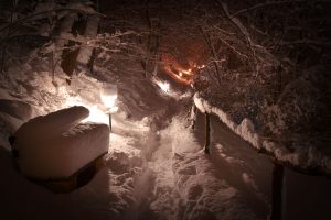 Brvnare od Milice Vrdnik Fruška Gora