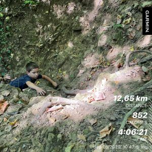 hiking fruska gora Brvnare od Milice