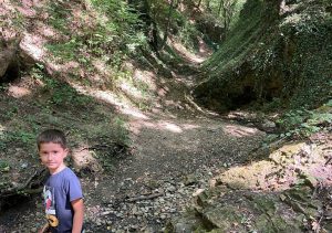 hiking fruska gora Brvnare od Milice