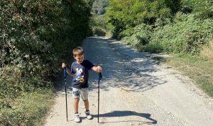 hiking fruska gora Brvnare od Milice