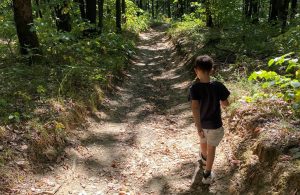 hiking fruska gora Brvnare od Milice