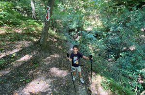 hiking fruska gora Brvnare od Milice