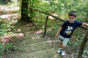 hiking fruska gora Brvnare od Milice