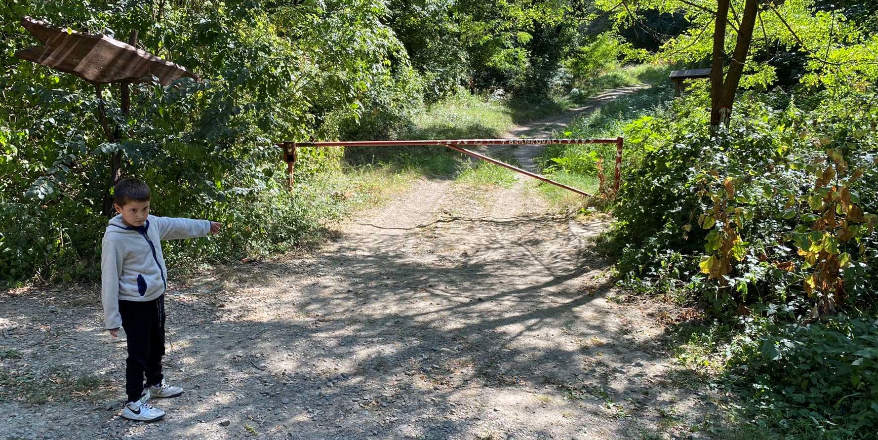 Izletište Brankovac ranc platan