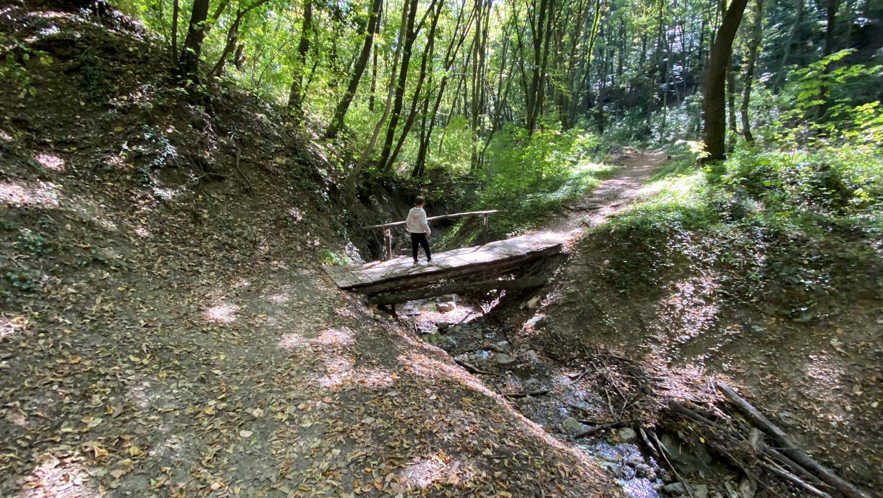 Izletište Brankovac brvnare Platan