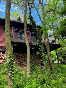 Brvnare Platan odmor u prirodi