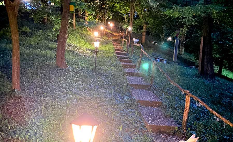 10-Fruška-gora-smeštaj-Brvnare-Platan