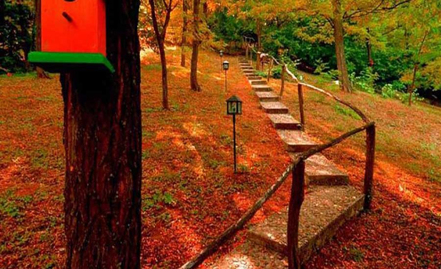 10-Fruška-gora-smeštaj-Brvnare-Platan
