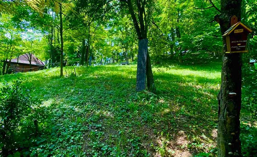 10-Fruška-gora-smeštaj-Brvnare-Platan