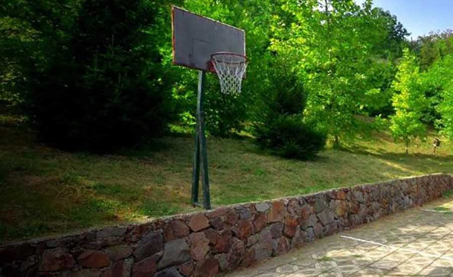 10-Fruška-gora-smeštaj-Brvnare-Platan