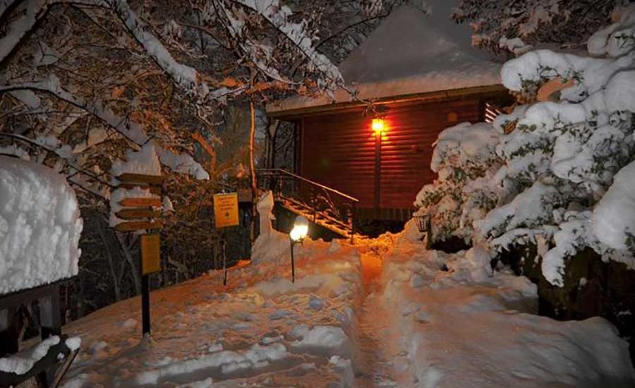 10-Fruška-gora-smeštaj-Brvnare-Platan