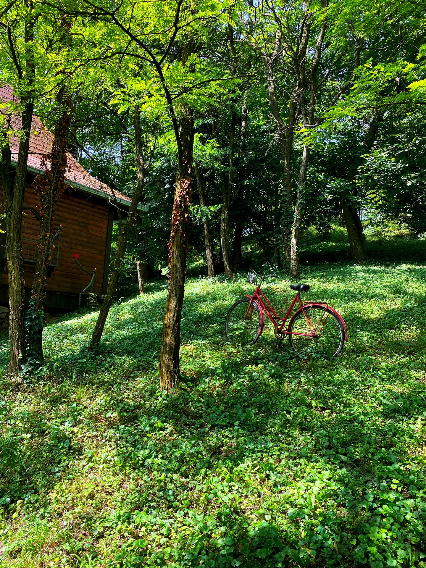 Glamping Platan Fruška gora