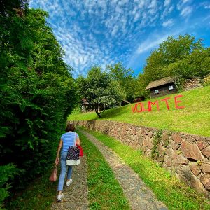 vesna-fruska gora smestaj vrdnik