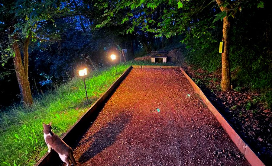 10-Fruška-gora-smeštaj-Brvnare-Platan
