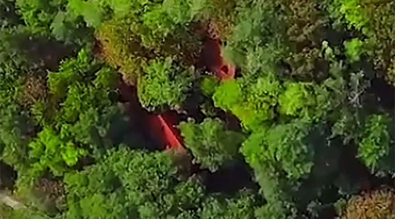 smestaj u šumi fruske gore