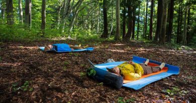 Ranč Platan šumska kupka Fruška gora