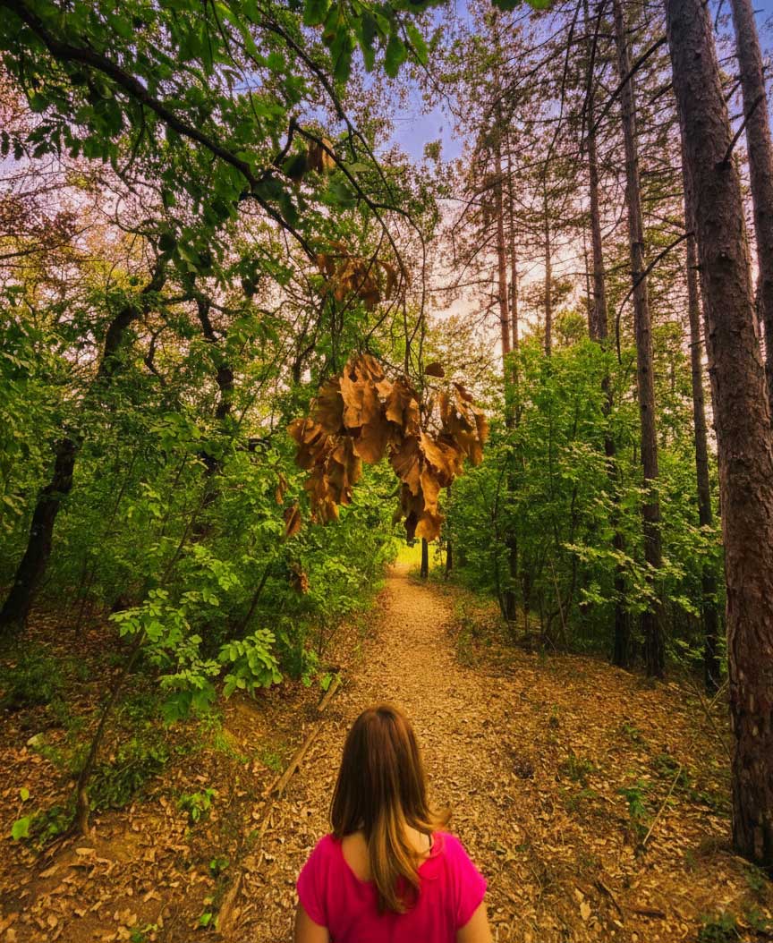 šumska kupka fruška fora