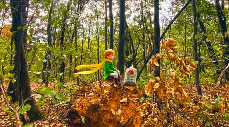 šumska terapija mali princ