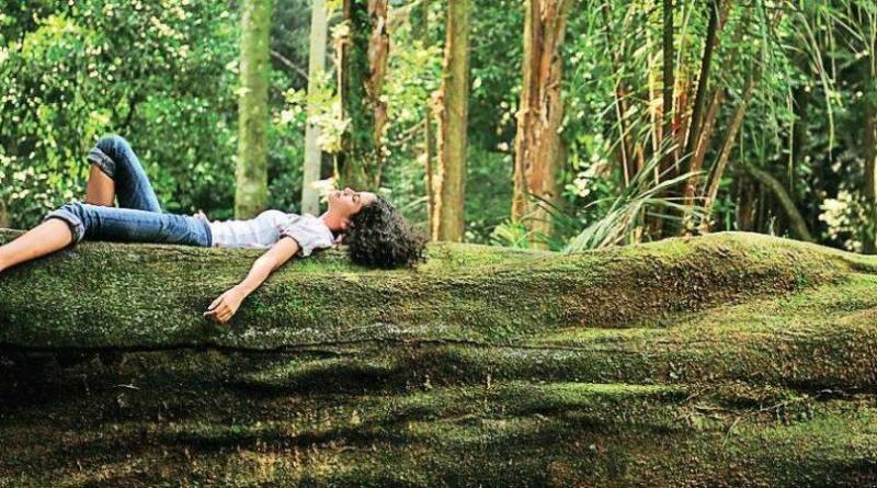 Ranč platan, terapija šumom šumska kupka