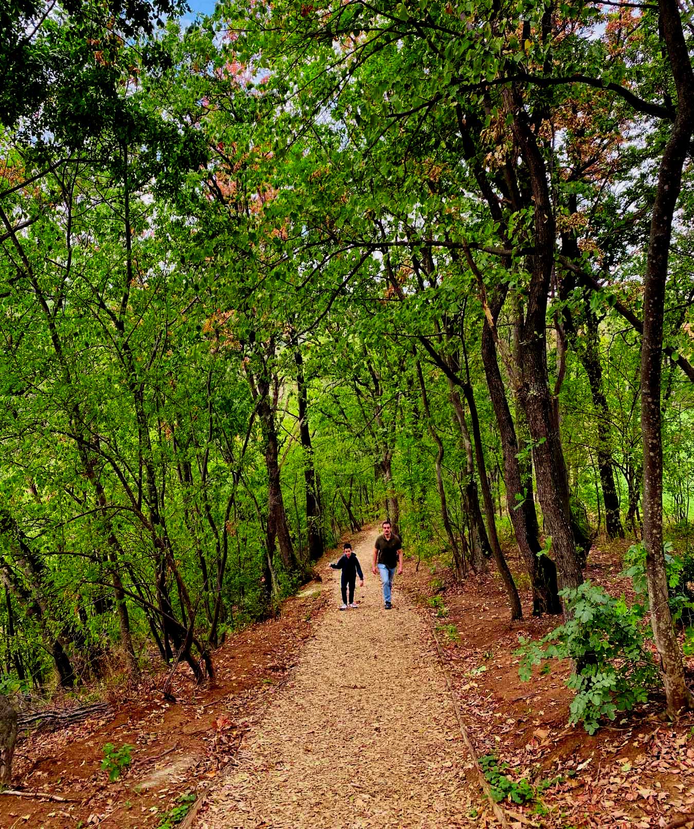 šumska kupka ranč platan