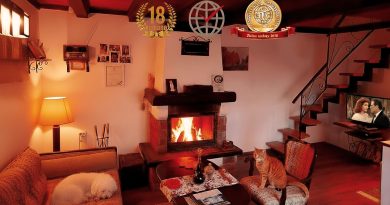 Ne idem bez šape – Pet friendly