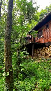 Fruška gora odmor