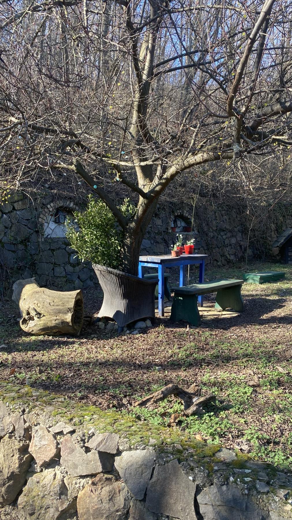 Fruška gora ranč platan smeštaj