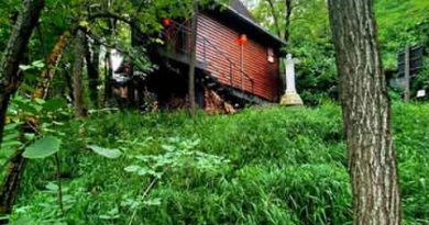 Termin šinrin joku (shinrin-yoku) potiče iz Japana i skovao ga je 1982. godine Tomohide Akijama